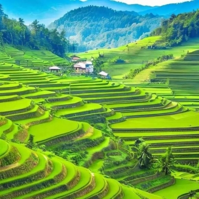 宁德-古田县南之岭家庭农场