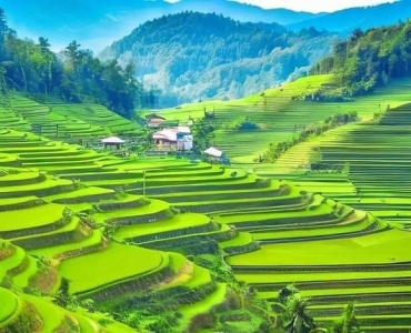 宁德-古田县南之岭家庭农场