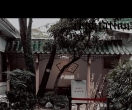 黄辣丁 （黄骨鱼）