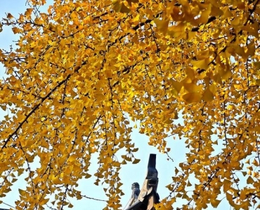 2025年初冬，岁月沉香。