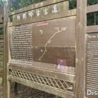 9小时反穿罗宁古道