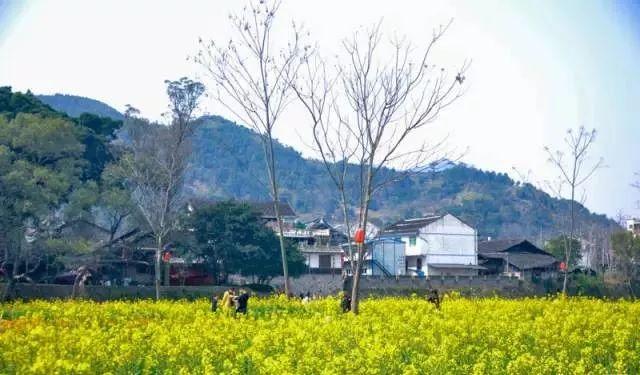 2019宁德最美旅行日历出炉，每个月……-11.jpg