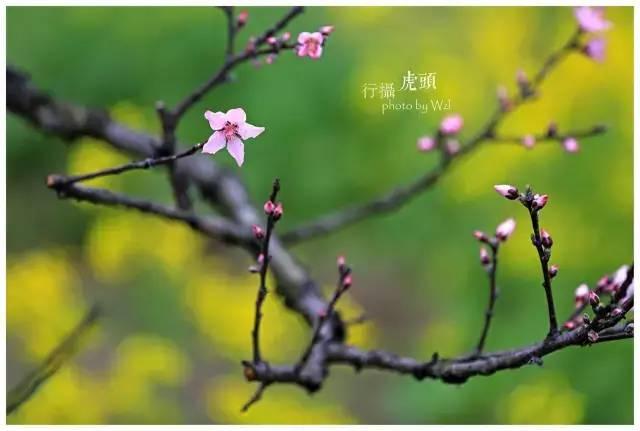 2019宁德最美旅行日历出炉，每个月……-15.jpg