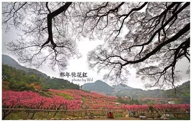 2019宁德最美旅行日历出炉，每个月……-13.jpg