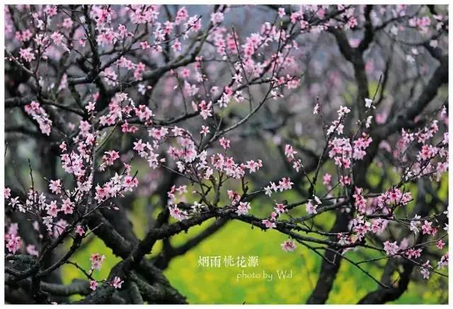 2019宁德最美旅行日历出炉，每个月……-20.jpg