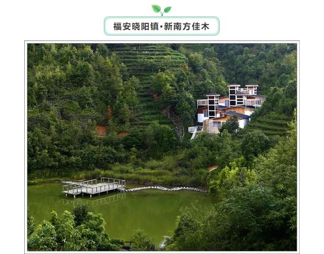 宁德这几处茶旅休闲理想地，你最喜欢哪一方的山水?-3.jpg
