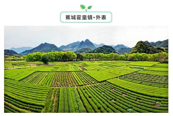 宁德这几处茶旅休闲理想地，你最喜欢哪一方的山水?-9.jpg