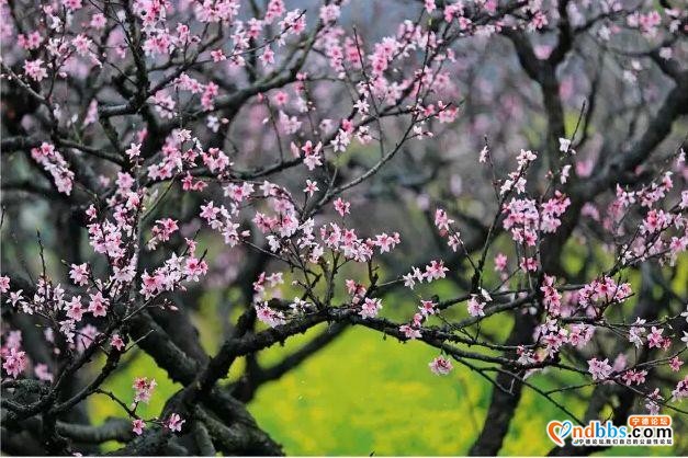 宁德之旅 | ?从1月到12月，畅玩宁德一整年-16.jpg