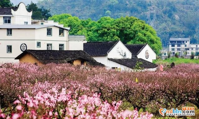 宁德之旅 | ?从1月到12月，畅玩宁德一整年-15.jpg