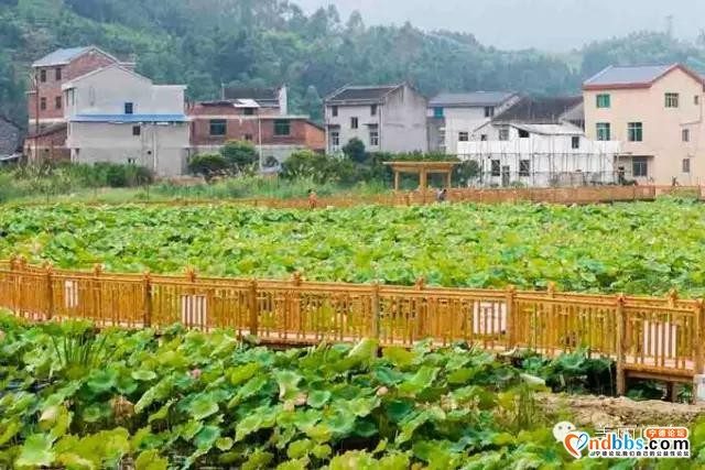 旅游丨盘点宁德蕉城13个最具人气休闲农家乐！-11.jpg