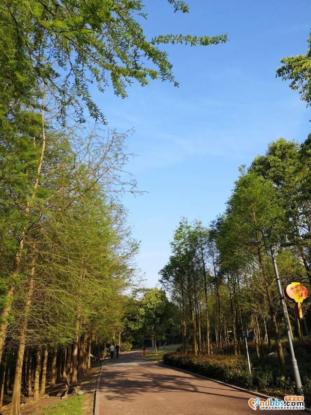 这五种游宁德蕉城的方式，哪一种会是你的选择？-10.jpg