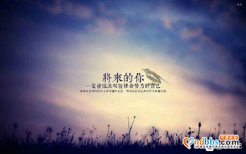 年底离职了，现在又延长假期，只能在家待着不想上班打算自己创业-1.jpg