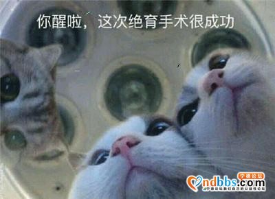 ?这些年里 你早已经习惯一个人面对一切不再会冲动而受伤 却也-1.jpg