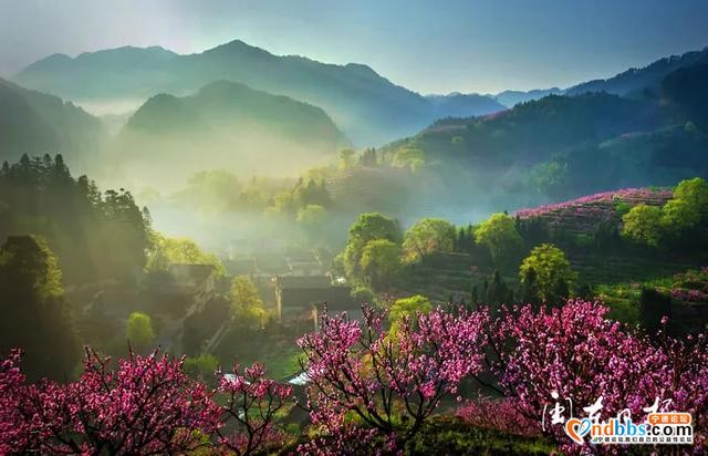 还你一个被耽误了的春天，宁德的美在这看个够！-2.jpg