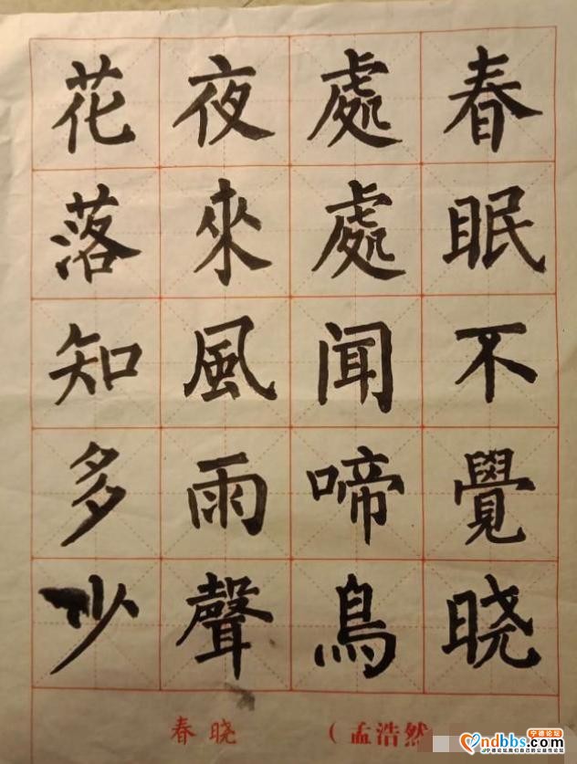 封闭的管理，开放的课堂——九都中心小学“停课不停学”-10.jpg