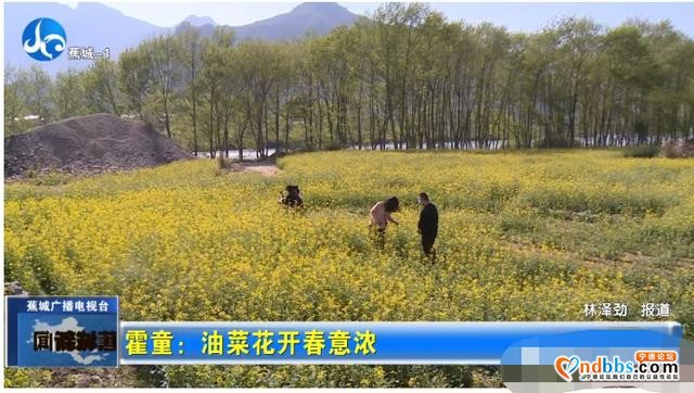 春的脚步！霍童油菜花开春意浓-3.jpg