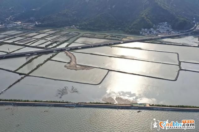 宁德锂电新能源车里湾基地吹沙造地工程建设正酣-3.jpg