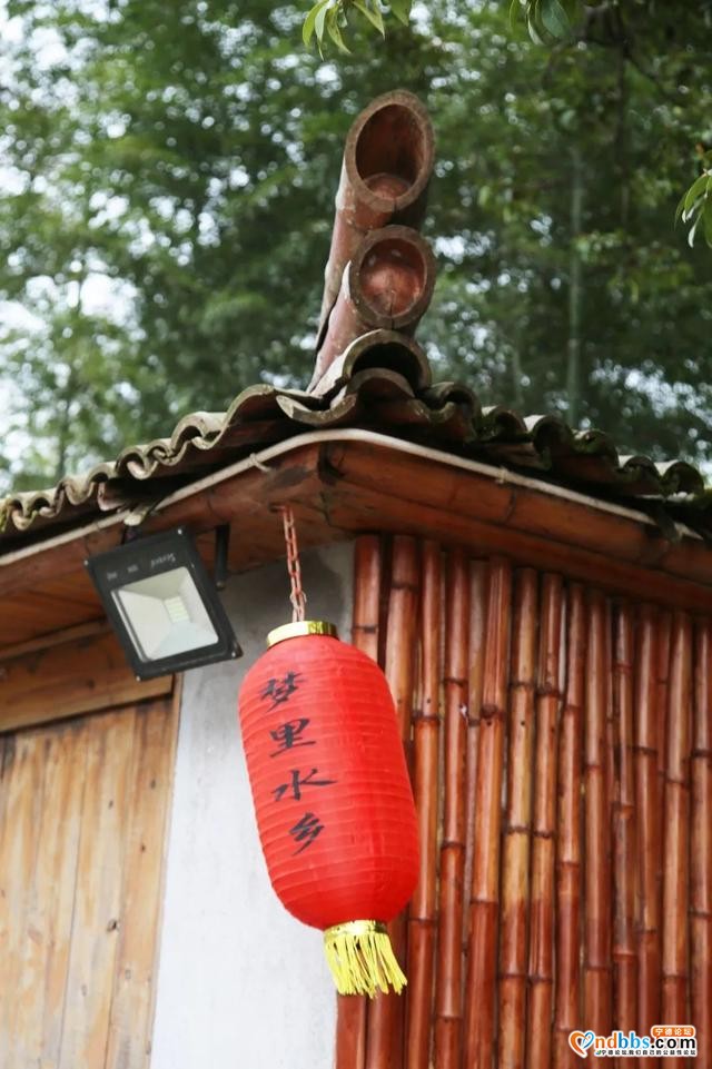 菜花黄、桃花香，三月洋中不负春光-27.jpg