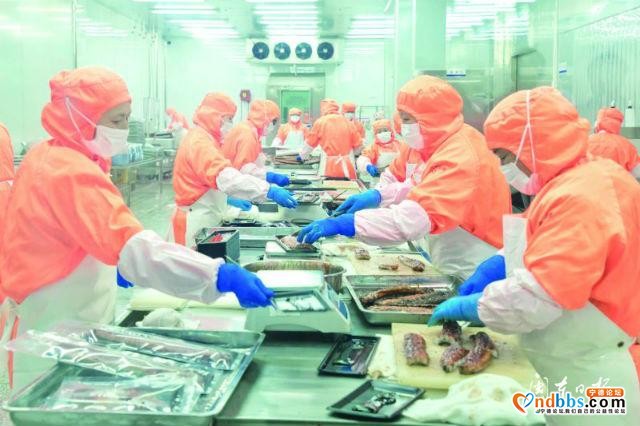 蕉城区规模以上工业企业加快复工复产 全区57家规模以上工业企业已全部复工-1.jpg