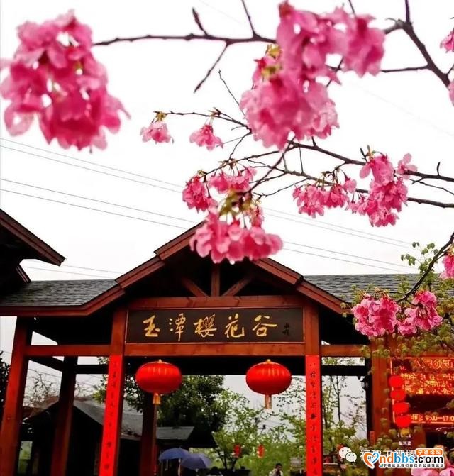 花都开好了！想去赏花？别急，我们为你把宁德的三月芳菲捧来了-12.jpg