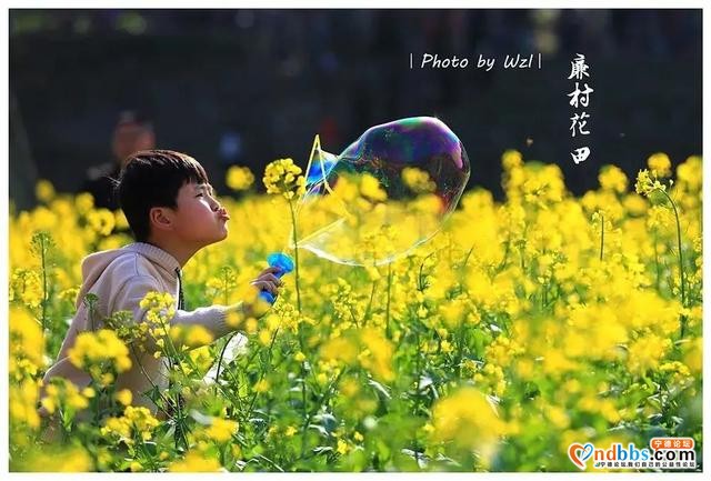 花都开好了！想去赏花？别急，我们为你把宁德的三月芳菲捧来了-17.jpg