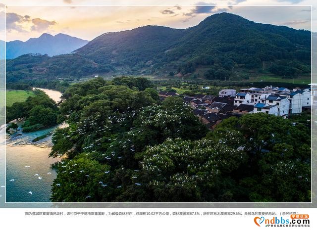宁德：涂抹绿色生活 拥抱城市活力-3.jpg