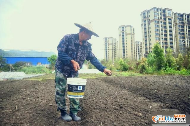 金涵抢抓农时提产能，春耕备耕忙起来-5.jpg