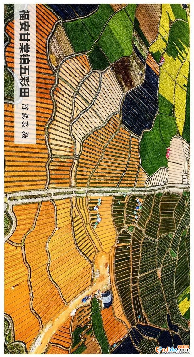 福建宁德的美，请横屏感受-27.jpg