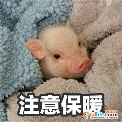 有小哥哥聊天吗～-1.jpg