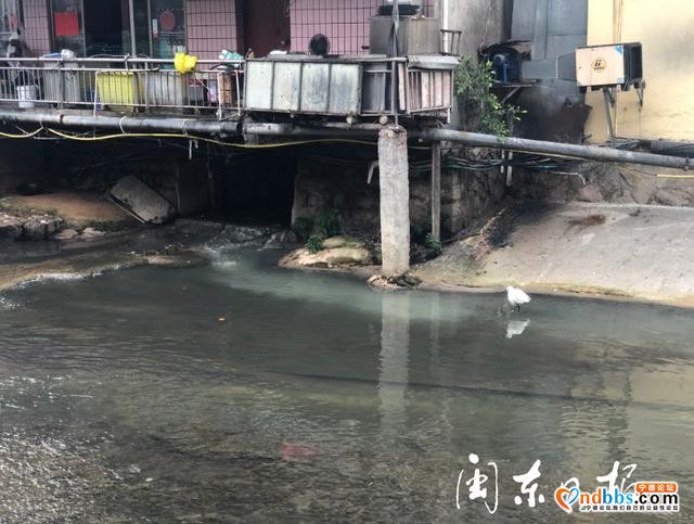 黑榜 | 污水流入宁德市区小东门溪护城河福山段-2.jpg