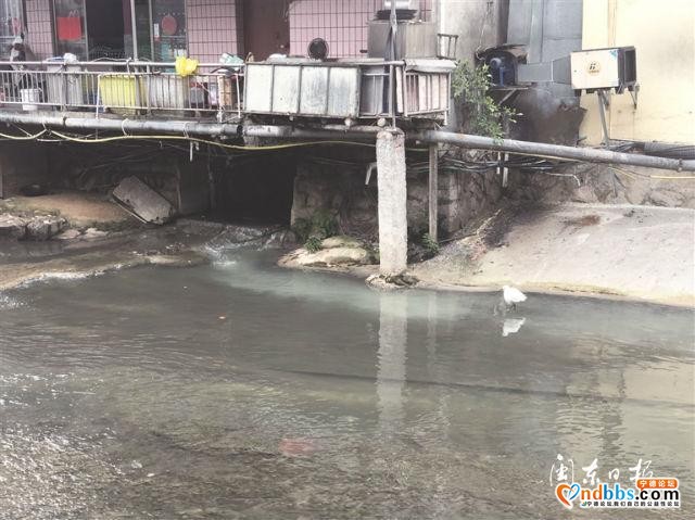 宁德市区小东门溪护城河福山段沟渠突然涌出一股污水-1.jpg