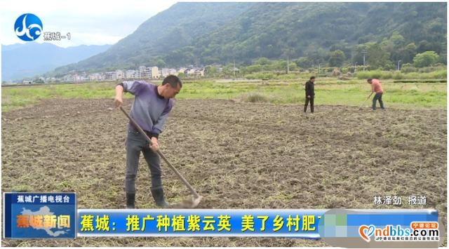 这个春天，一起到蕉城，有你不得不看的紫云英花海-4.jpg