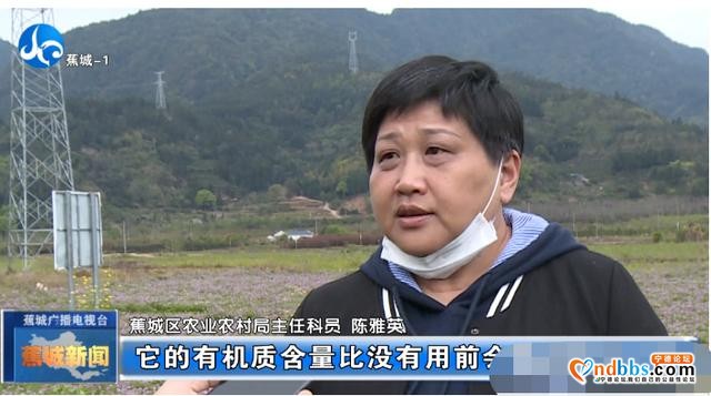 这个春天，一起到蕉城，有你不得不看的紫云英花海-9.jpg