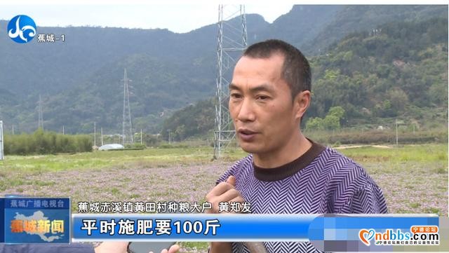 这个春天，一起到蕉城，有你不得不看的紫云英花海-5.jpg
