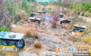 宁德消费扶贫活动 助解农产品滞销困境-2.jpg