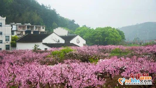 宁德第二批旅游小镇名单出炉，清明小长假走起……-7.jpg