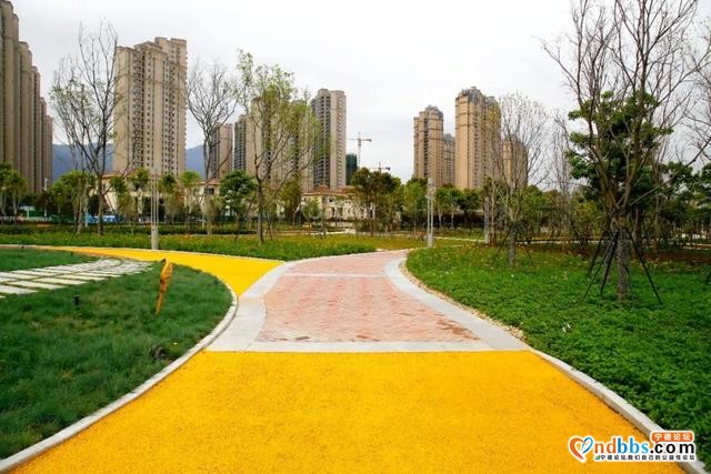 宁德市区这个公园繁花似锦！快来解锁宁德版春天~-7.jpg