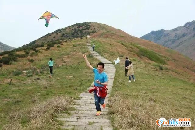 福鼎两地入选宁德第二批旅游小镇，清明小长假走起……-12.jpg