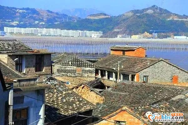 福鼎两地入选宁德第二批旅游小镇，清明小长假走起……-20.jpg