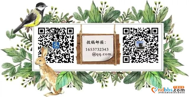 福鼎两地入选宁德第二批旅游小镇，清明小长假走起……-23.jpg