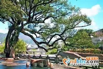 宁德这些隐世古村，风景静好！-8.jpg