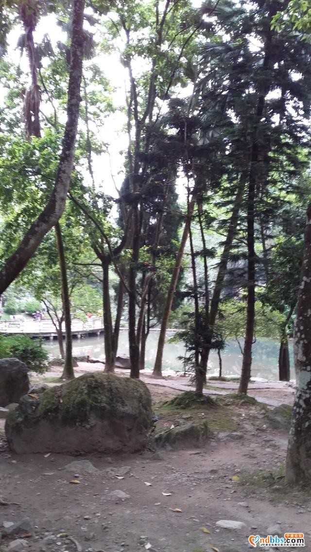 我的中国行(一二六)丨福建省宁德市蕉城区南际公园-6.jpg