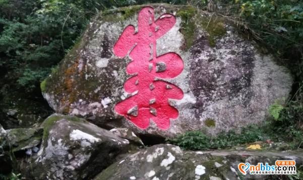 我的中国行(一二六)丨福建省宁德市蕉城区南际公园-15.jpg