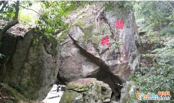 我的中国行(一二六)丨福建省宁德市蕉城区南际公园-16.jpg