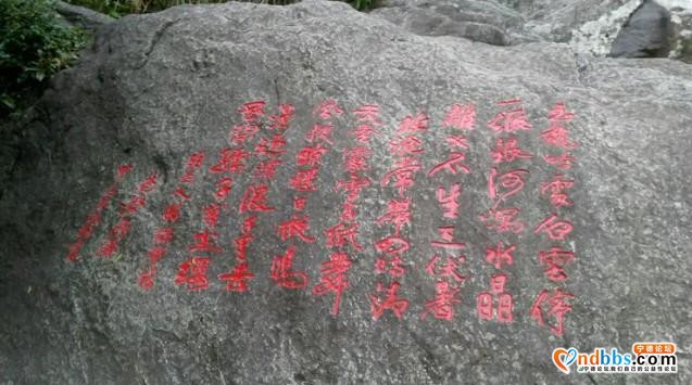 我的中国行(一二六)丨福建省宁德市蕉城区南际公园-20.jpg