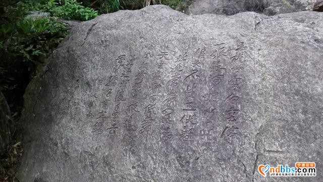 我的中国行(一二六)丨福建省宁德市蕉城区南际公园-13.jpg