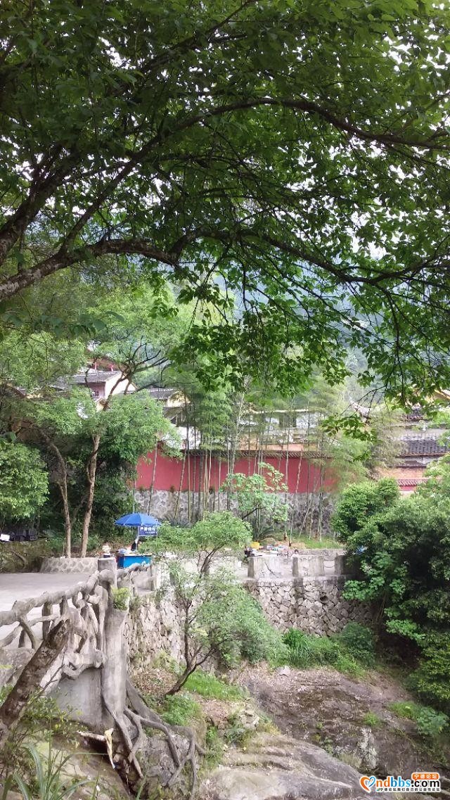 我的中国行(一二六)丨福建省宁德市蕉城区南际公园-34.jpg