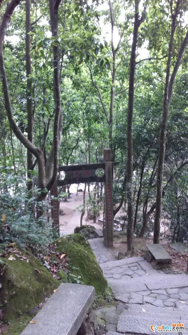 我的中国行(一二六)丨福建省宁德市蕉城区南际公园-37.jpg