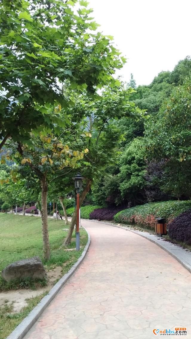 我的中国行(一二六)丨福建省宁德市蕉城区南际公园-48.jpg