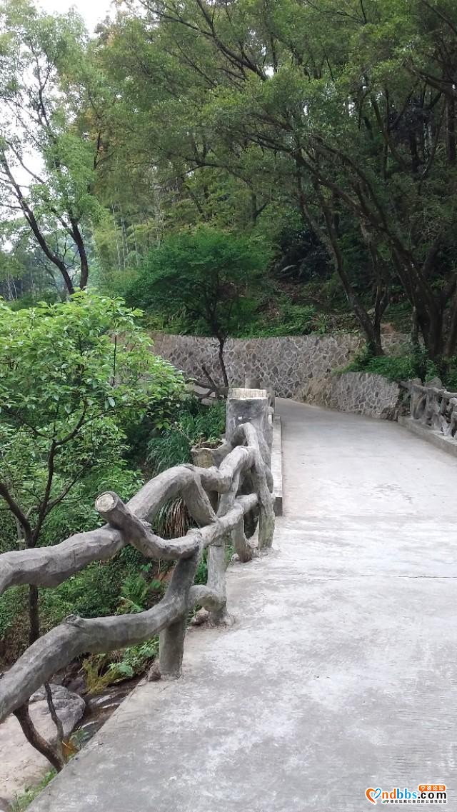 我的中国行(一二六)丨福建省宁德市蕉城区南际公园-47.jpg
